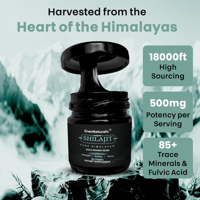 Pure Himalayan Shilajit Resin – USA Lab Tested | 500mg